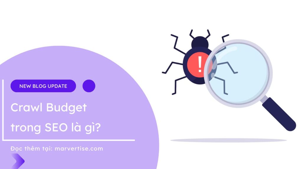 Crawl Budget trong SEO